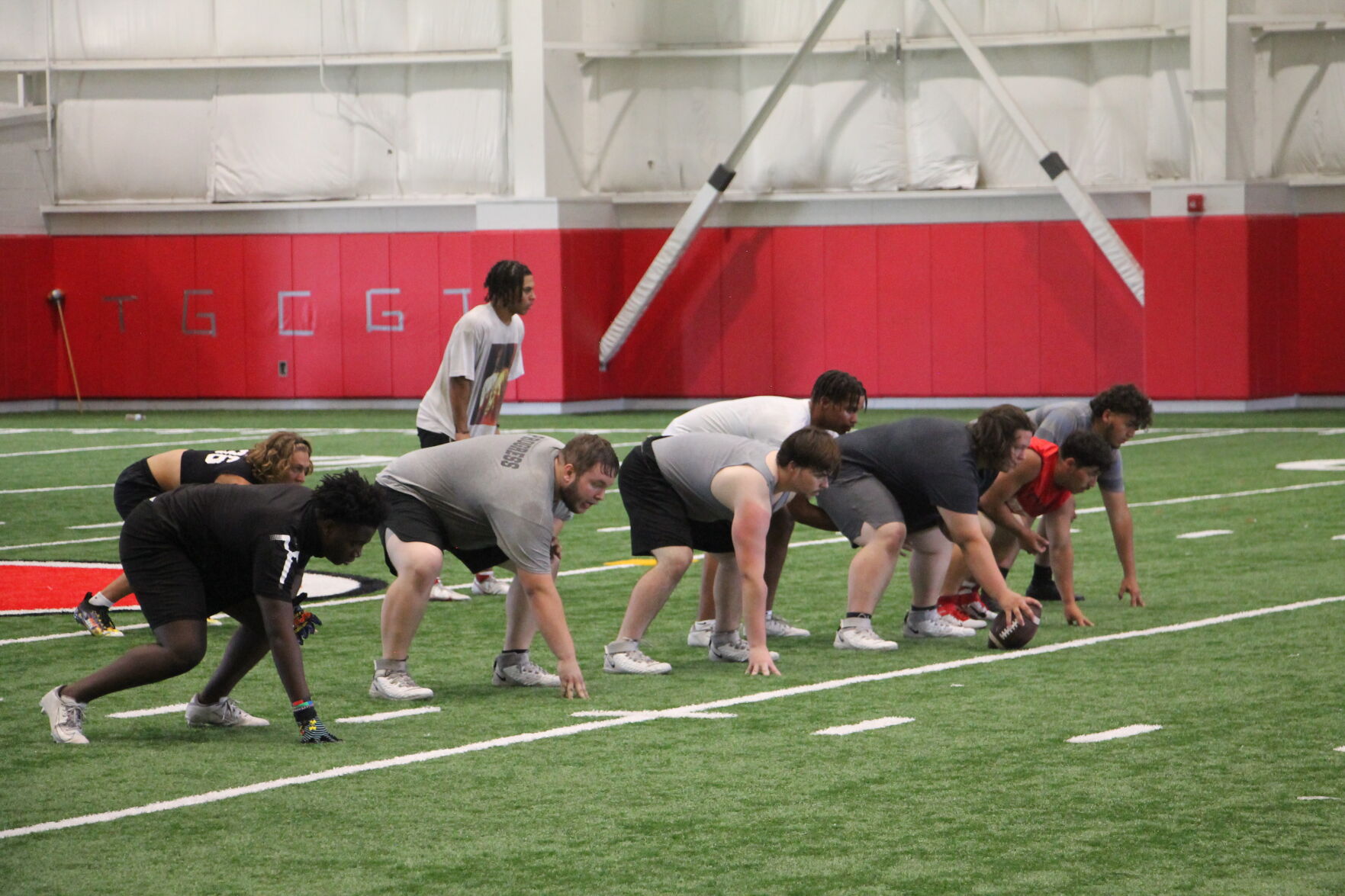Gainesville offense
